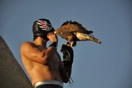 Aguila Solitaria Jr.