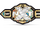 NXT Championship