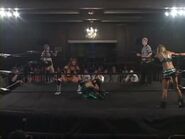 Shimmer 40.00060.jpg (33 KB)