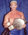 Sting 37th Champion (July 7, 1990 - January 11, 1991)