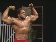 11-27-84 TNT 4.jpg (45 KB)