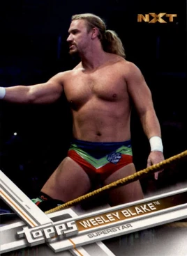 2017 WWE (Topps) Then, Now, Forever Wesley Blake 180