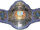 APW World Wide Internet Championship