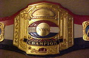 NWA National Championship (1990s)