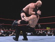 Royal Rumble 1999.8.jpg (27 KB)