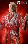 Ric Flair (レトロ)