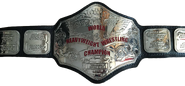 WWF World Heavyweight Championship (1984)