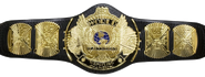 WWF Winged Eagle Championship