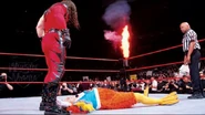 WrestleMania 15.12.jpg (37 KB)