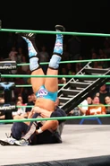 8-17-17 Impact 9.jpg (181 KB)
