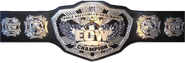 WWE-ECW Championship Belt (2008-2010)