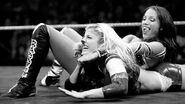 NXT 249 Photo 10