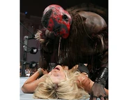 Royal Rumble 2006.49.jpg (36 KB)