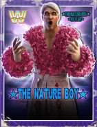 WWE Champions Poster - 020 RicFlairRobePink
