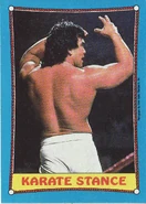 1987 WWF Wrestling Cards (Topps) Karate Stance (No.43)