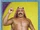 2010 WWE (Topps) The Iron Sheik (No.95)