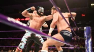 205 Live 6-19-18 5.jpg (88 KB)