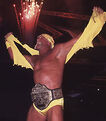 Hulk Hogan 32nd Champion (July 12, 1999 to September 12, 1999)