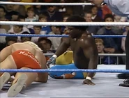 Saturday Night's Main Event XIV 15.jpg (75 KB)