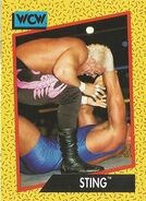 1991 WCW (Impel) Sting 6