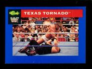 1991 WWF Classic Superstars Cards Texas Tornado (No.37)
