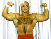 HulkHogan70s