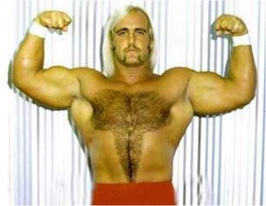 Hulk Hogan | Pro-Wrestling Fandom
