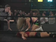 Shimmer 40.00010.jpg (37 KB)