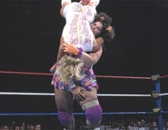 SummerSlam 1995.4.jpg (20 KB)