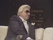 TNT 84 16.jpg (44 KB)