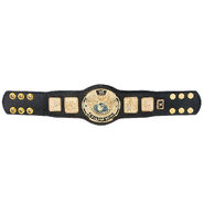 WWE Attitude Era Championship Mini Replica Title