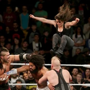 11.23.16 NXT.13.jpg (69 KB)