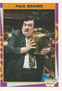 1995 WWF Wrestling Trading Cards (Merlin) Paul Bearer 119