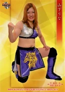 2014 BBM True Heart Japanese Women's Pro Wrestling Rina Yamashita (No.103)