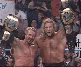 DDPandKevinNash1 display image
