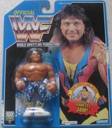 Marty Jannetty