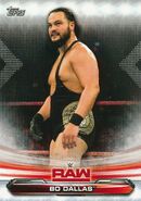 2019 WWE Raw Wrestling Cards (Topps) Bo Dallas (No.8)