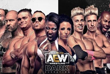 All Elite Wrestling: Dark AEW Dark #104 (TV Episode 2021) - Tyler