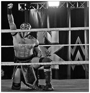 NXT 10-30-15 7.jpg (414 KB)