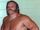 Ole Anderson