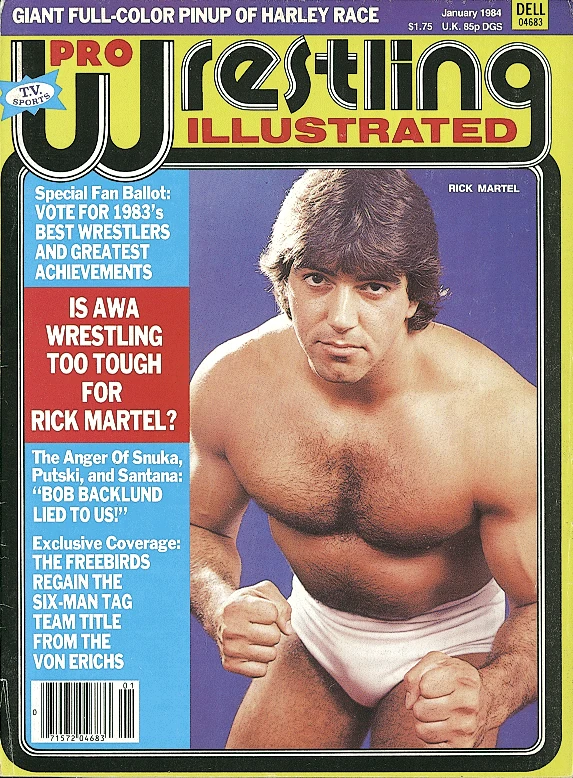 pro wrestling illustrated