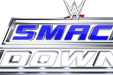 June 15 1991 WWF Superstars of Wrestling Pro Wrestling Fandom