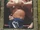 2002 WWF All Access (Fleer) Edge (No.84)