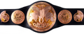 WWE Tag Team Titles (2010 - 2014)