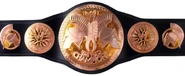 WWE Tag Team Championship (2010 - 2014)