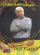 2002 WWE Absolute Divas (Fleer) Ric Flair (No.60)