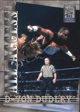 2002 WWF All Access (Fleer) D-Von Dudley 27