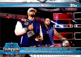 2019 WWE Road to WrestleMania Trading Cards (Topps) The Usos 70