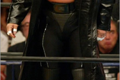 NWo Japan | Pro Wrestling | Fandom
