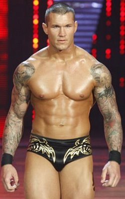 randy orton burn in my light download